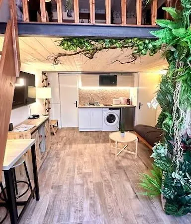Jungle Avec Jaccuzi